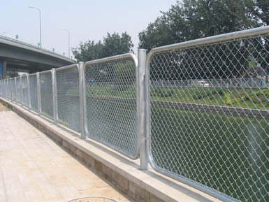 Chain Link Fence Series